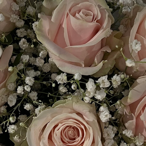 Boeket - Pearl & Petal Blush
