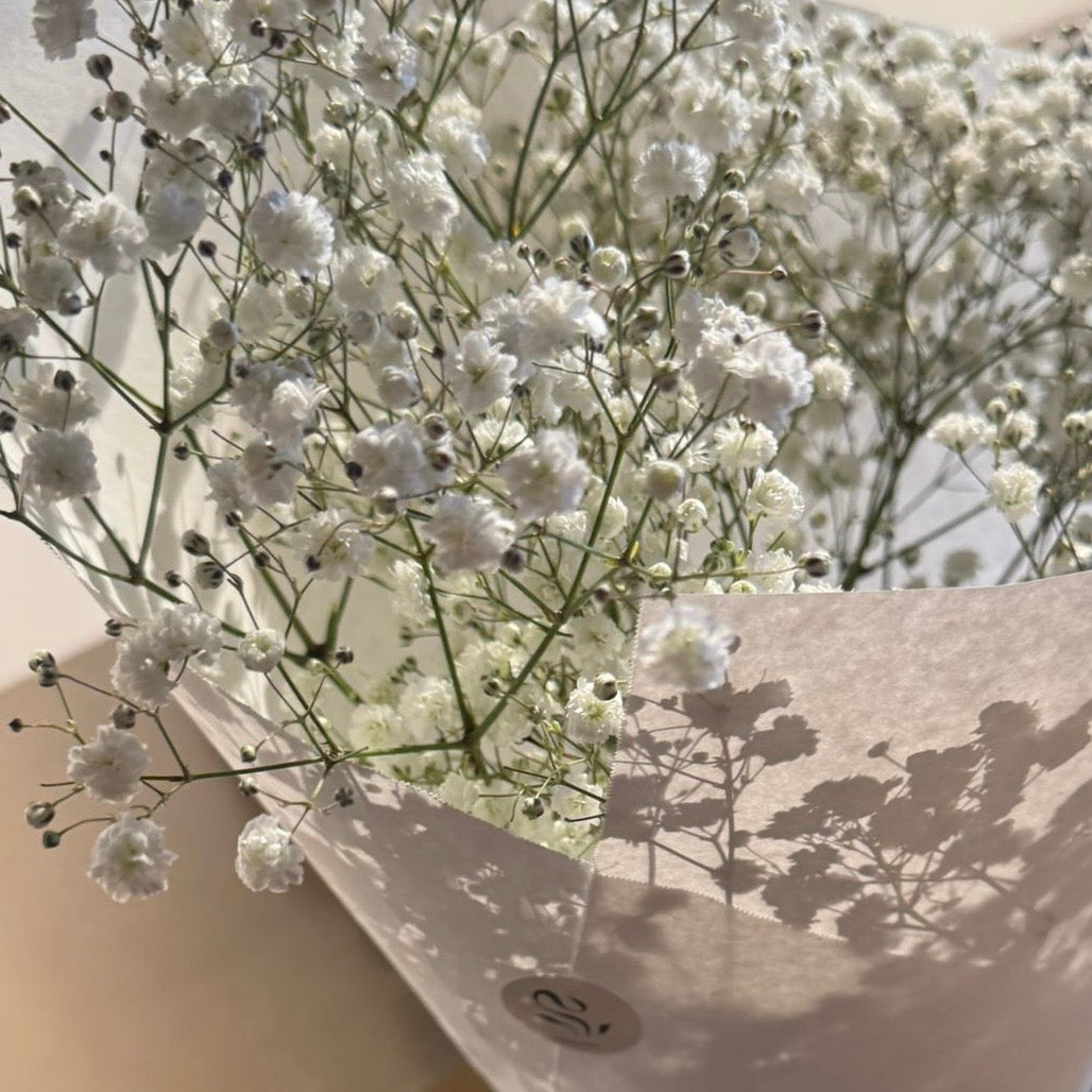 Bosje Gipskruid - Wit