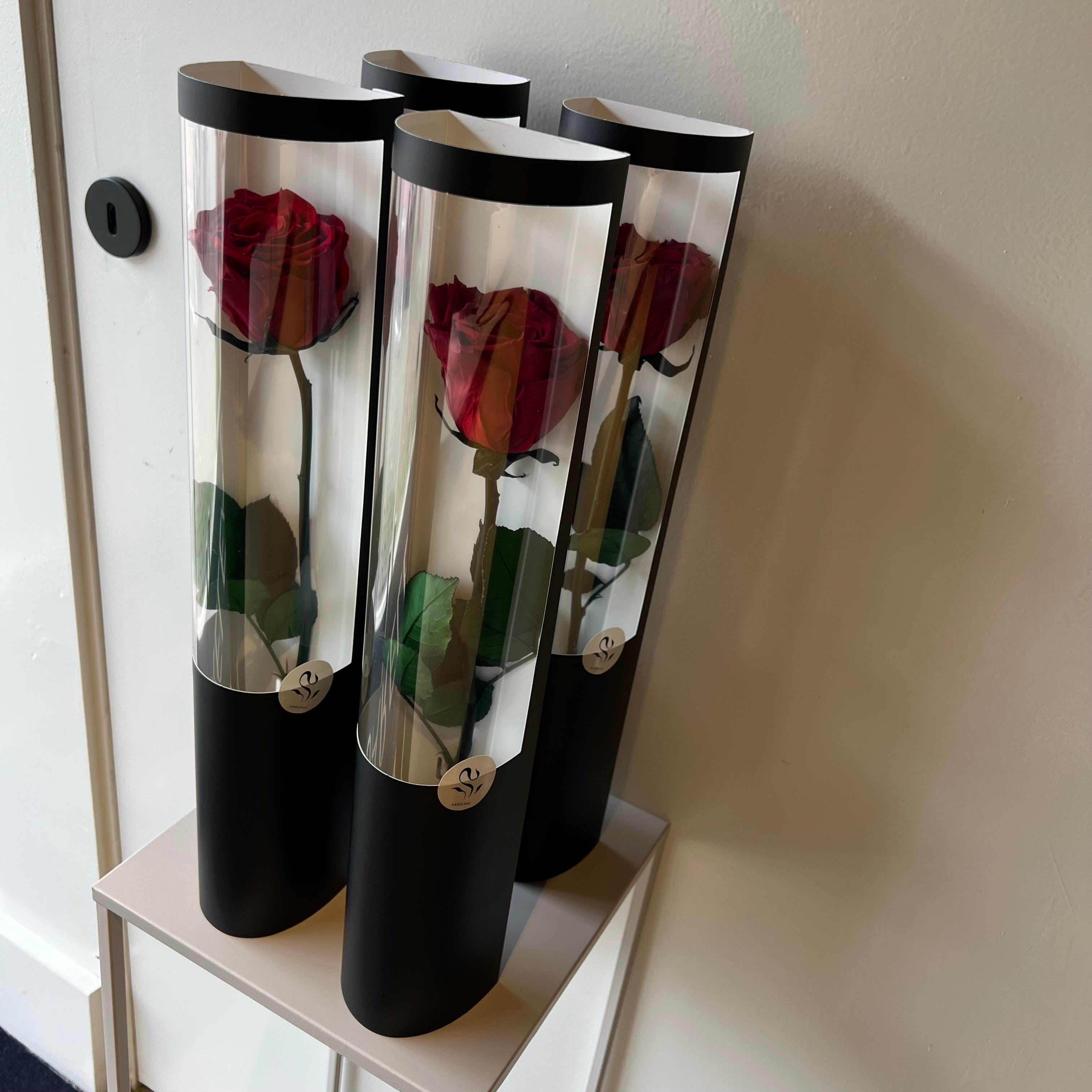 Long life roos - Rood - Giftbox