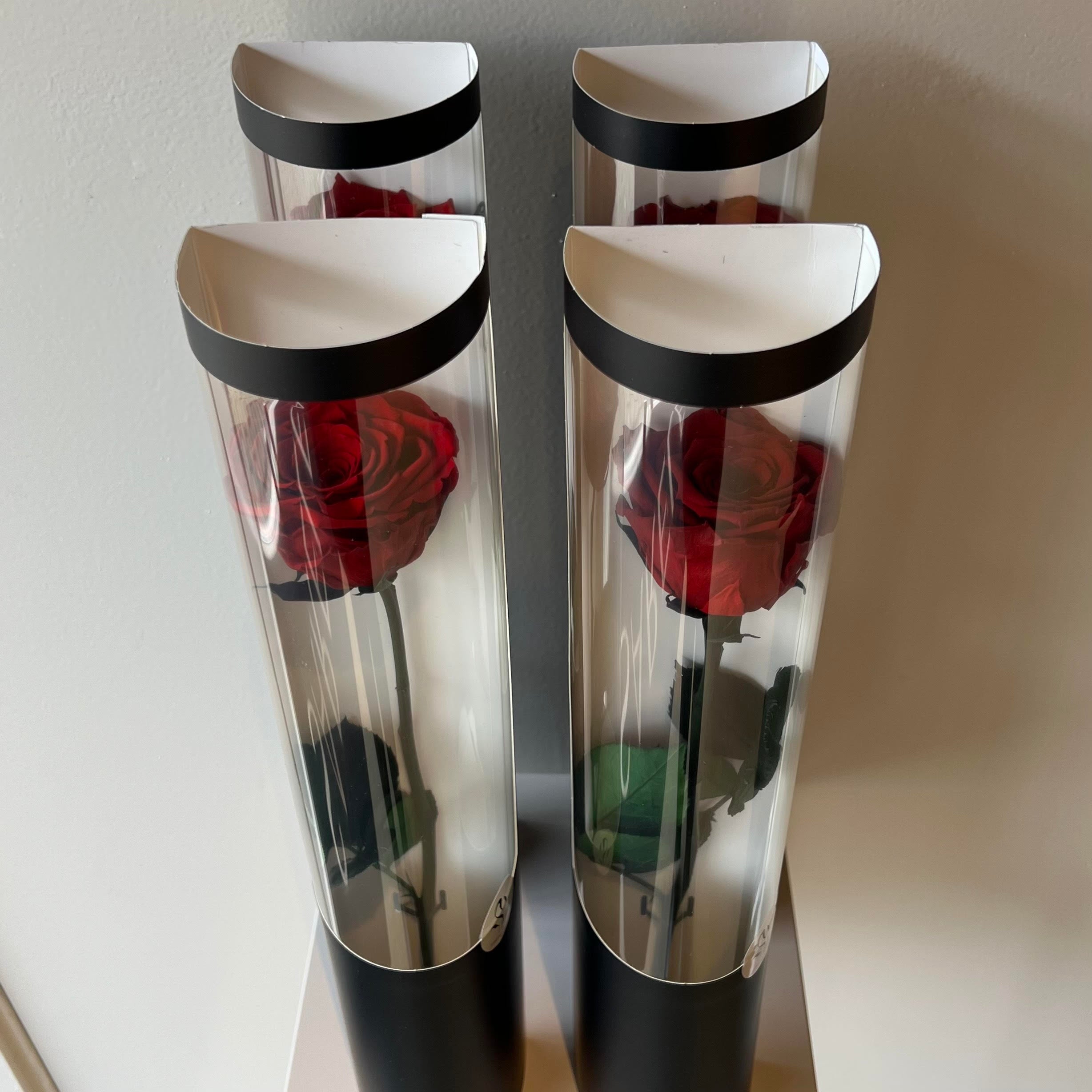 Long life roos - Rood - Giftbox