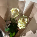 Losse roos - Noor