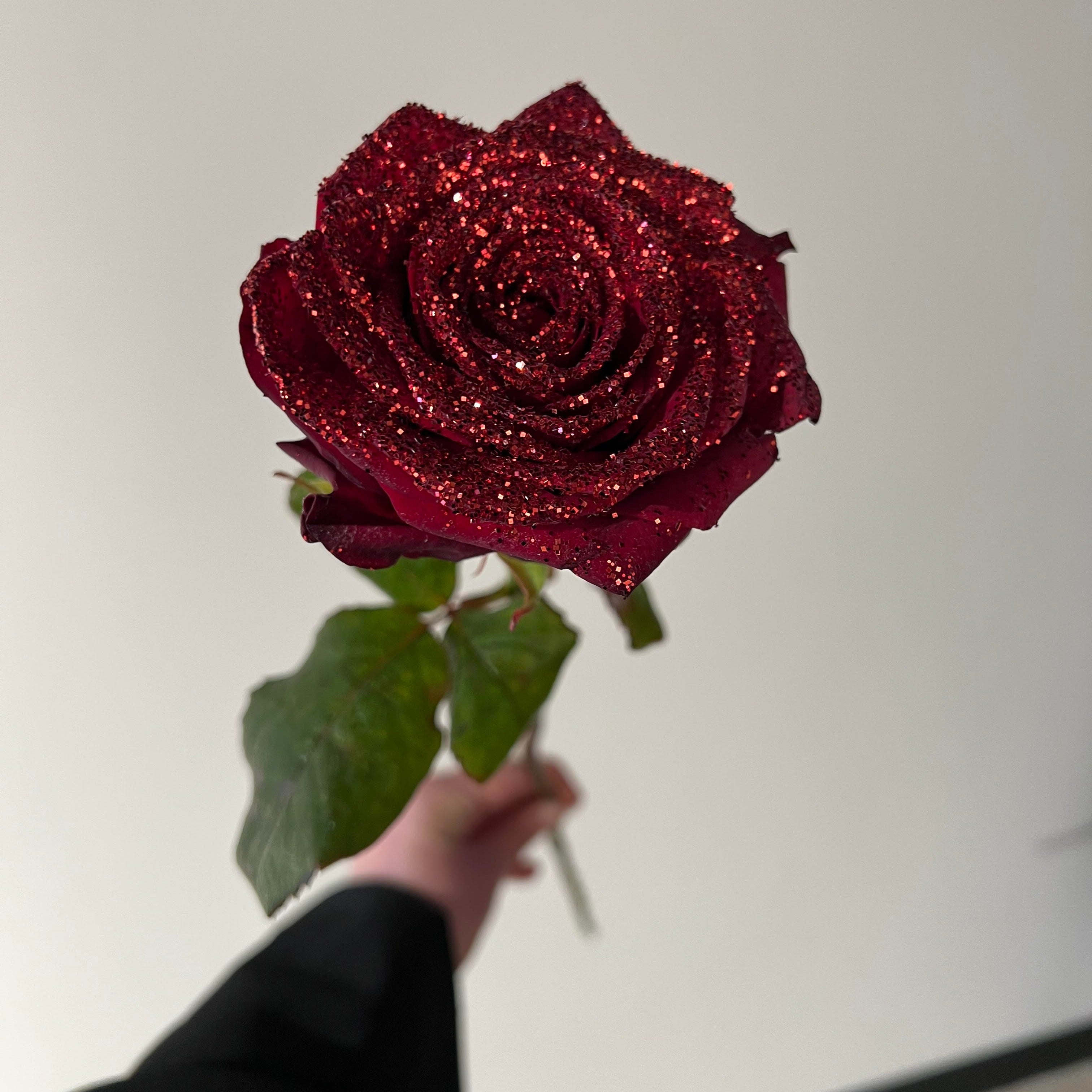Red Naomi roos - Velvet Shimmer