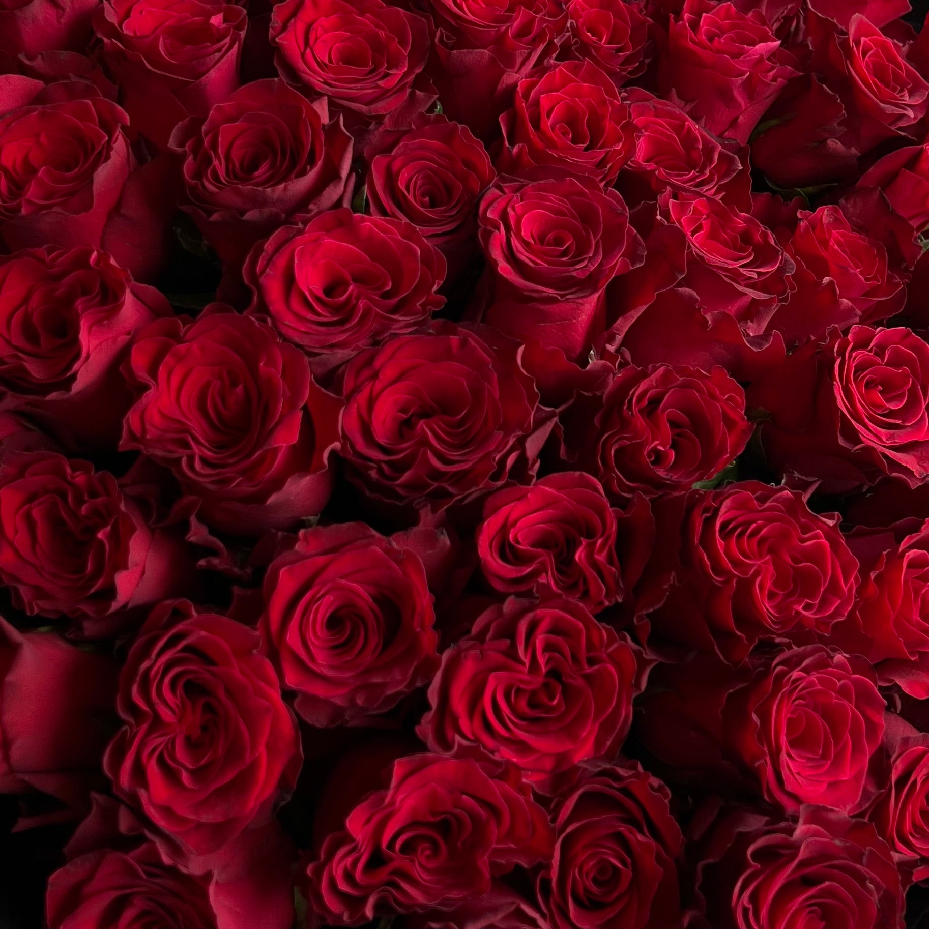 Rozenboeket - 50 Rhodos